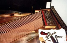 bass strings 01